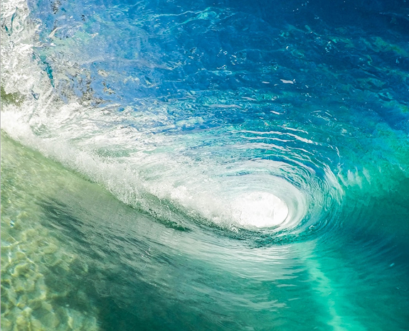 Biomass Intelligence and Ocean Oasis Creation