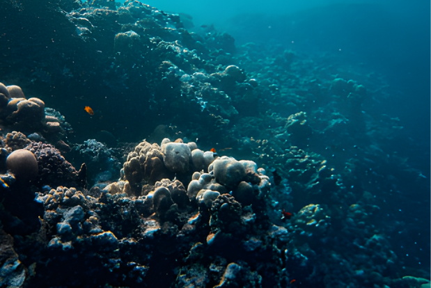 Untitled design - 2025-12-28T160339.804